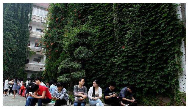 企鹅取消食堂福利，裁员降薪进行时，互联网要走下行了？